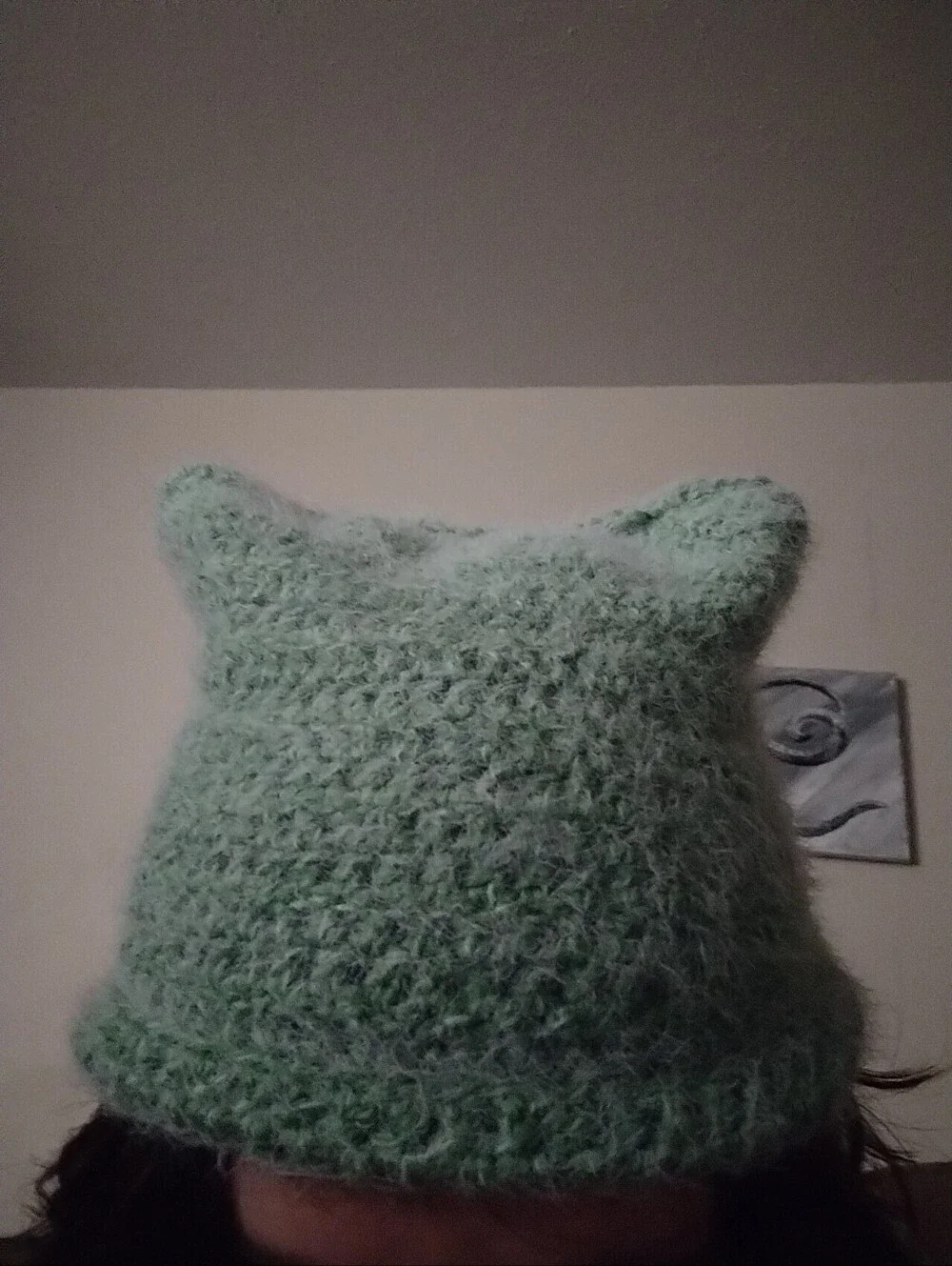 Hand Crocheted Beanie (Lil Ears)